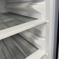 Gefrierschrank statisch 525 Liter 2GN - 600x400 weiß Glastür